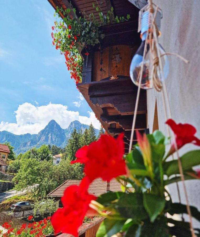 Amor Tirol Busteni (Adults Only) Exterior photo